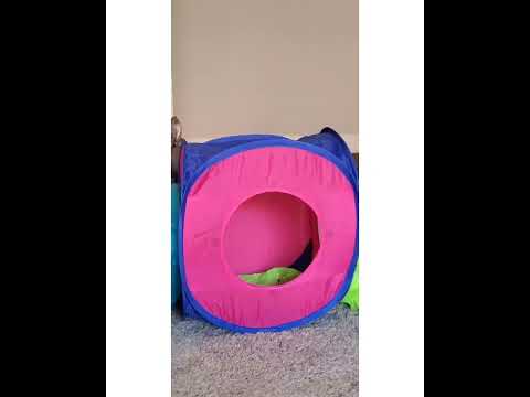 Crystal the Pet Nanny. LLC video.