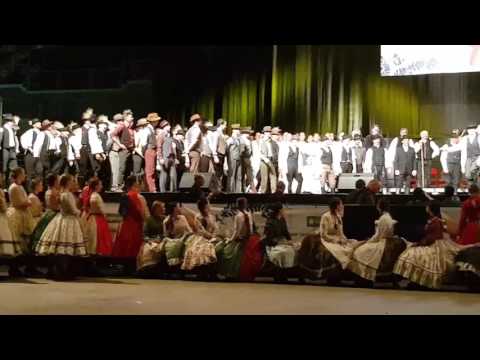 Mindenki tánca Szatmár