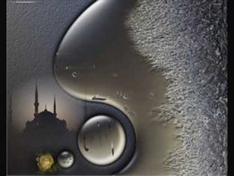 Mr.Jakup Hasipi - Ata që tallen me Muslimanët.