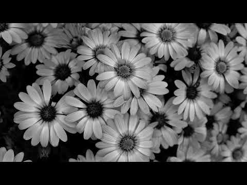 Mandi Castillo-So Sweet