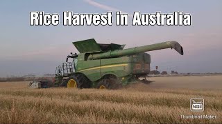 RICE HARVEST IN  AUSTRALIA || RICE FARMING