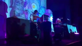 Bees, Recycling - Animal Collective live