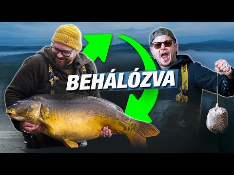 Szűcsi Völgy pontyai – Behálózva