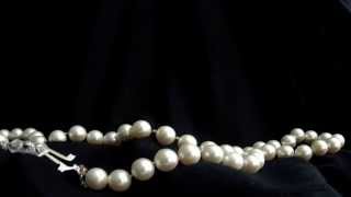 Aldir Blanc / João Bosco     " São Dois prá lá Dois prá cá "     Judith Imbassahy