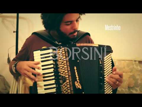 BORSINI LUIZ + MESTRINHO (Erivaldinho no forró)