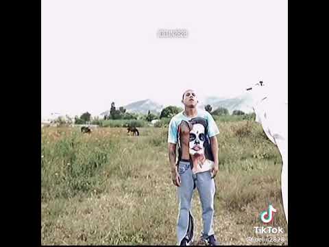 El mono baila por la lana