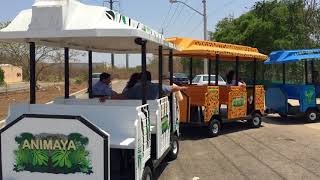 Tren de gasolina en calle 17