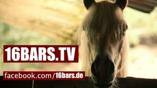 Betty Ford Boys - Everyday (16BARS.TV PREMIERE)