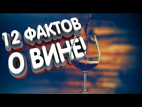 Ендрю Джеффорд. Вино. Курс Ендрю Джеффорда