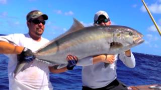 preview picture of video 'Giant Amberjack Fishing in Islamorada, Florida 2012'