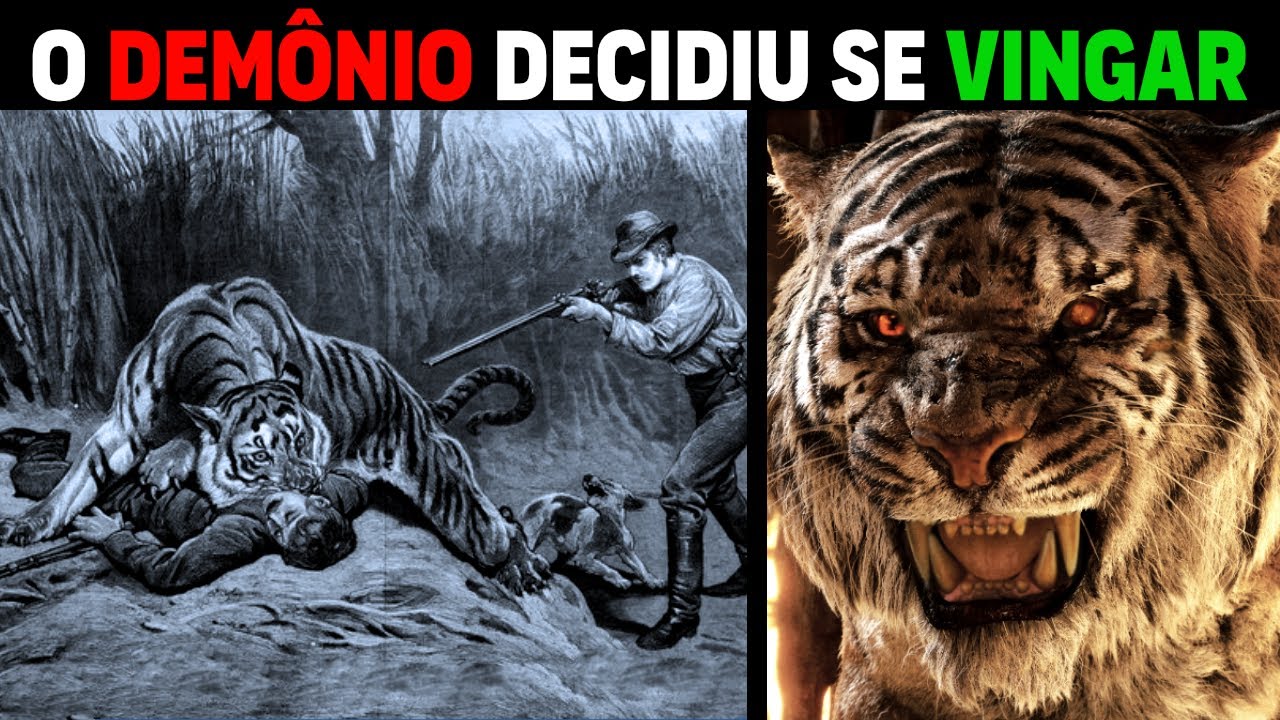 Tigre de Amur - TIGRE QUE SE VINGOU DOS CAÇADORES