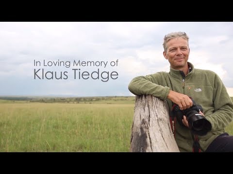 In Loving Memory of Klaus Tiedge