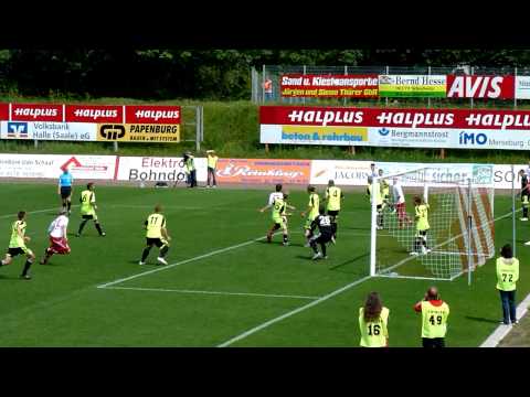 Hallescher FC : VfL Wolfsburg Regionalliga 0:2 2010/2011