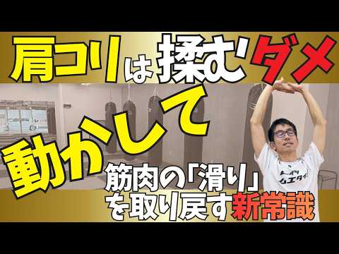 【揉んでも効かない！肩コリ】座り仕事の慢性痛が消えた！マッサージより「キックボクシング」が効く身体の仕組みのサムネイル
