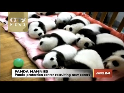 givemeeverythingbaby’s Video 134178695091 AUK_P1Pbog4