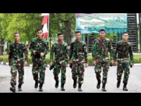 Produk yang menarik untuk hewan Vagina anggota yang lebih kecil