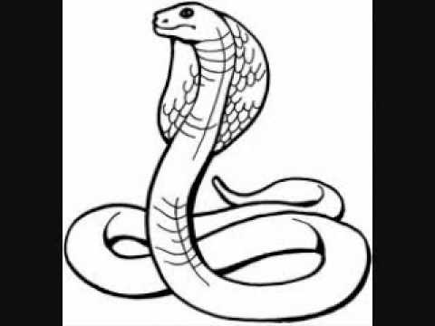 Snake Bitez - eM Theory