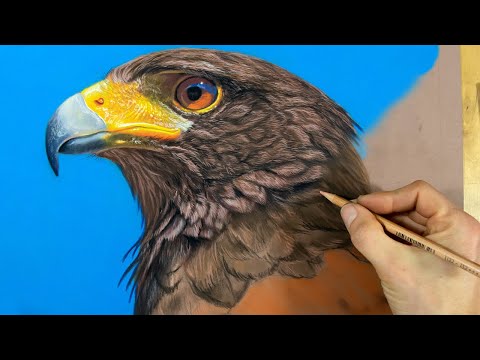 How to Draw a Bird Pastel Pencils + PanPastels - My Top Tips