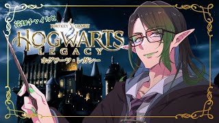 花畑チャイカとホグワーツ・レガシー レアルカリアから転校してきました元オベリスクブルーチャンピオンクラス超高校生級のエルフ花畑チャイカです ドビーってエルフなんだぜ知ってた？