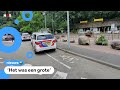 Twee wolven ontsnapt in Dierenpark Amersfoort
