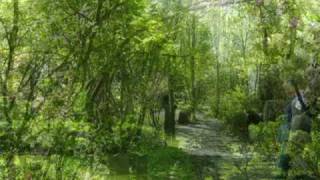 preview picture of video 'Gardens of Pays de la Loire - Jardin d'Atmosphere'