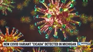 New COVID variant "Cicada" detected in Michigan