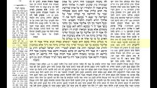 הדף היומי בבא קמא דף מב