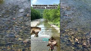 THEODORE TROUT OFFICIAL WEST VIRGINIA TROUT STOCKING REPORT 4/27/26