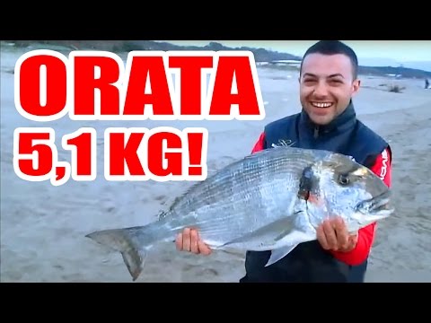 ORATA 5,1 KG SurfCasting TV