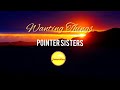 Wanting Things - Pointer Sisters (Repost)