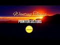 Wanting Things - Pointer Sisters (Repost)