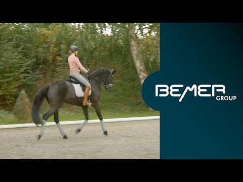 Losgelassenheit beim Pferd – mit dem BEMER Horse-Set bei jedem Training | DE
