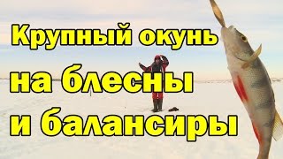 Балансир в глухозимье на окуня