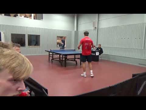 Tischtennisbelag Barna Original Virus-2 - Lange Noppe