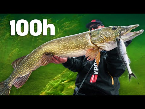 100 Hours to Catch the 10 BIGGEST Pike 🏆 (Day 3)
