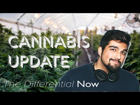 HUGE CANNABIS NEWS THIS WEEK! | The Differential Now