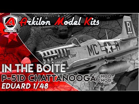 #7 In The Boîte : P51-D Chattanooga choo choo 1/48 Eduard (#1134)