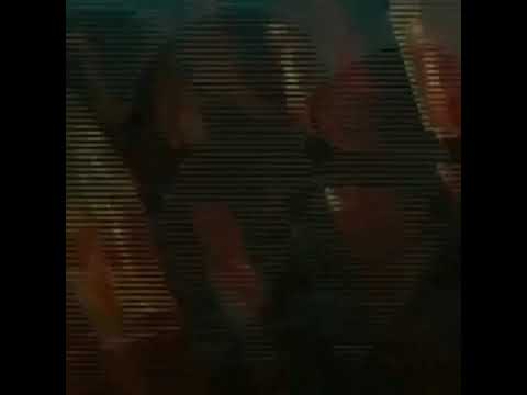 Solomun feat.Isolation Berlin - Kreatur der Nacht