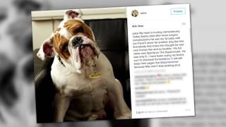 Coco and Ice T Mourn the Loss of Their Dog Spartacus | Splash News TV