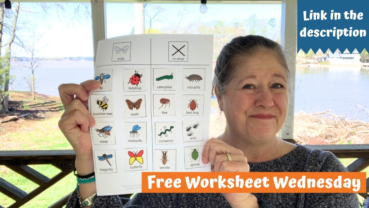 Free Worksheet Wednesday: Insect Sorting