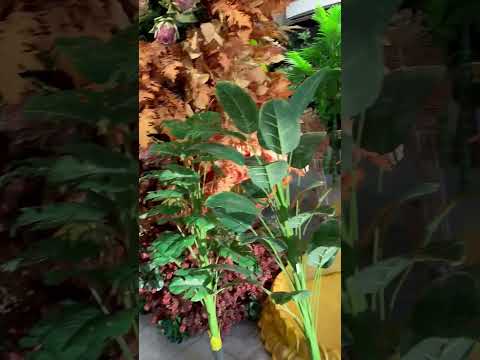 Tarn Taran 7401460000