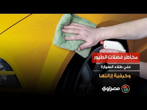 مخاطر فضلات الطيور علي طلاء السيارة وكيفية إزالتها