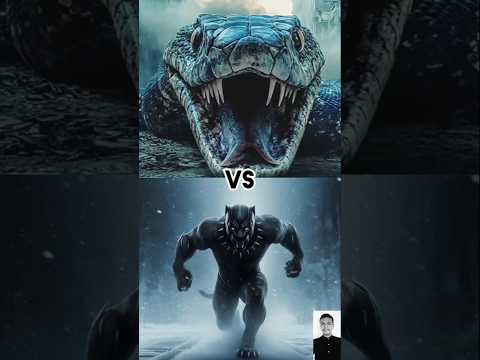 anaconda vs black Panther fight battle #shorts #hulk #blackpanther #animals