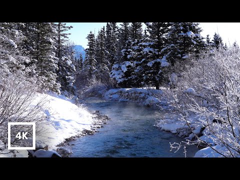 4K Misty Stream in Snowy Winter Forest, Canadian Rockies | River Ambience & Water Sounds for Sleep