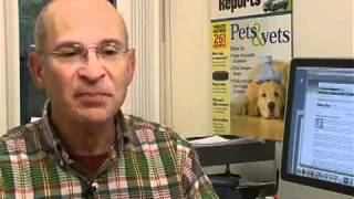 Pet friendly hotels