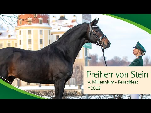 FREIHERR VON STEIN v. Millennium - Perechlest