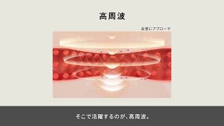 高周波ってなに？（コリコランワイド編）【パナソニック公式】