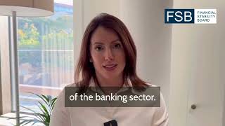 Global Monitoring Report on Non-Bank Financial Intermediation 2024