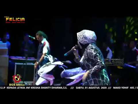 NEW felicia PRODUCTION novi ayla kdi