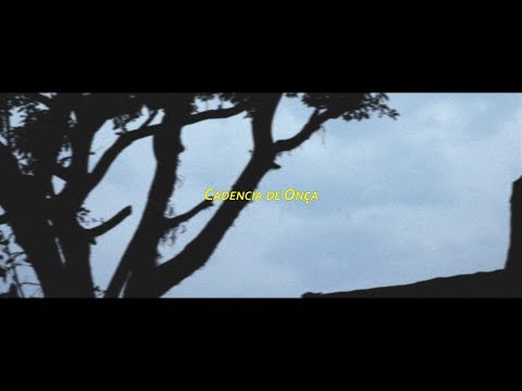 METANØIA - Cadencia de Onça (Hasta Donde Tus Ojos Ven) [Lyric Video]